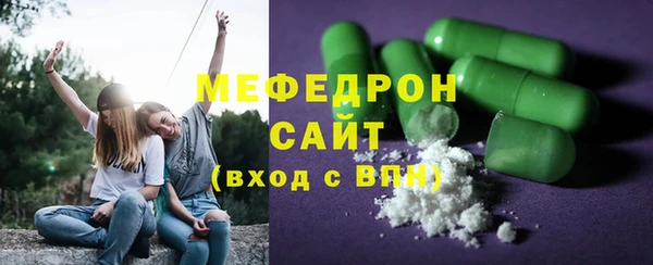 индика Арсеньев