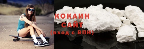 индика Арсеньев