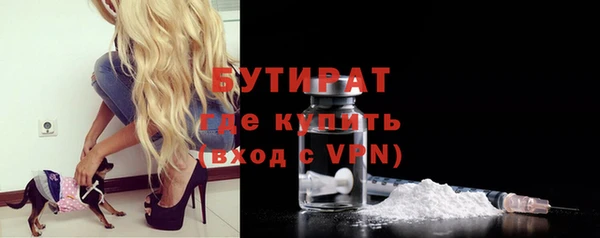 индика Арсеньев