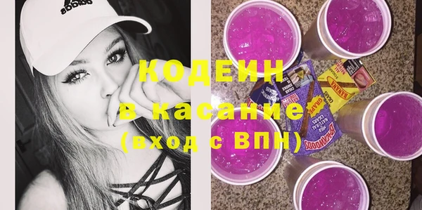 индика Арсеньев