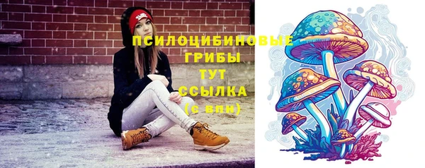 индика Арсеньев