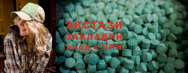 индика Арсеньев