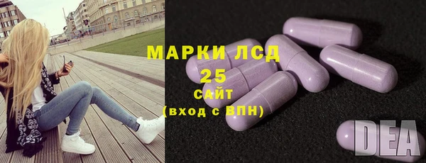 индика Арсеньев