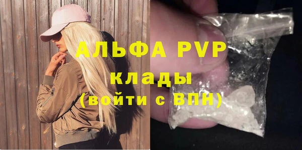 индика Арсеньев
