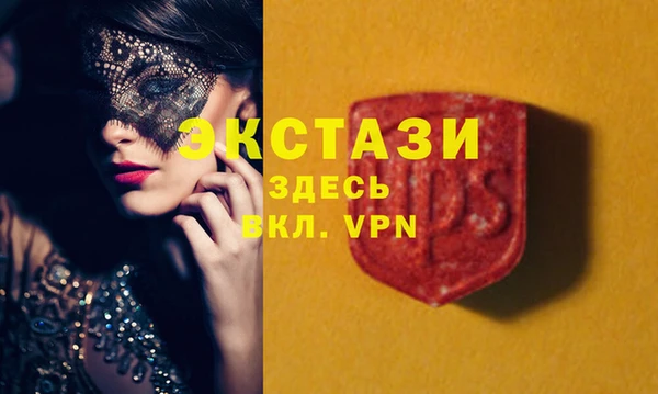 индика Арсеньев